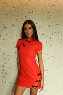 Salio Red Dress
