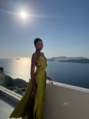 Tamara Olive Dress